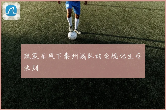 政策东风下泰州战队的合规化生存法则