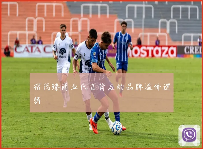 宿茂臻商业代言背后的品牌溢价逻辑