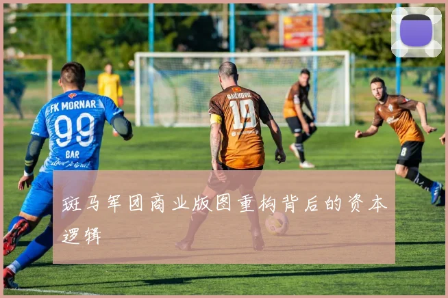 斑马军团商业版图重构背后的资本逻辑